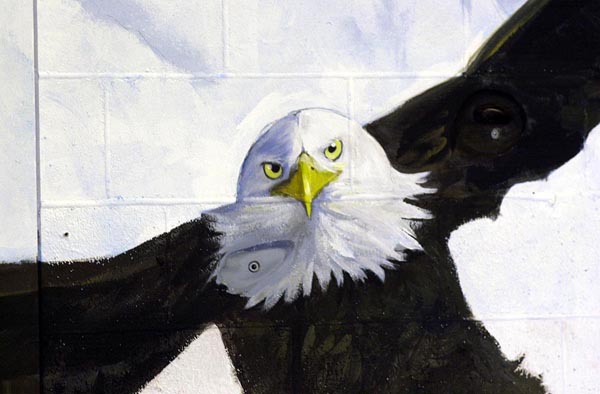eagleclose