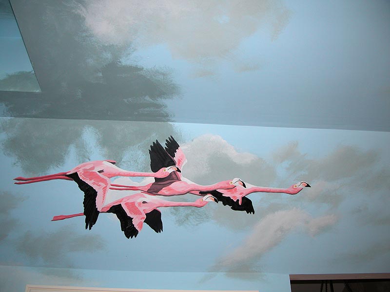 Flamingos