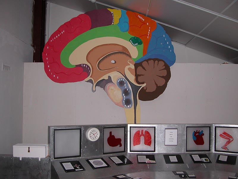 somebodyBrain