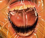ThumbBC95