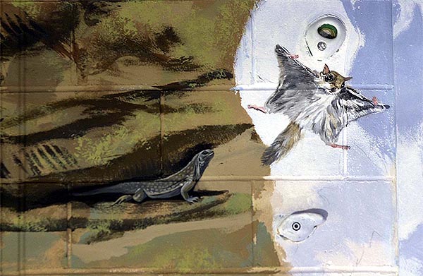 flyingsquirrel