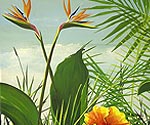 thumbmural56